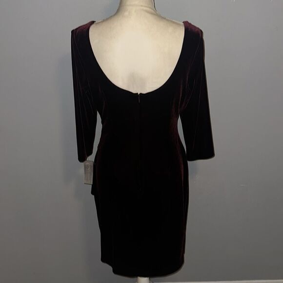 🌸HP🌸ALEX EVENINGS Stretch Velvet Ruched Petite Dress with Beaded Hip! - Picture 9 of 13